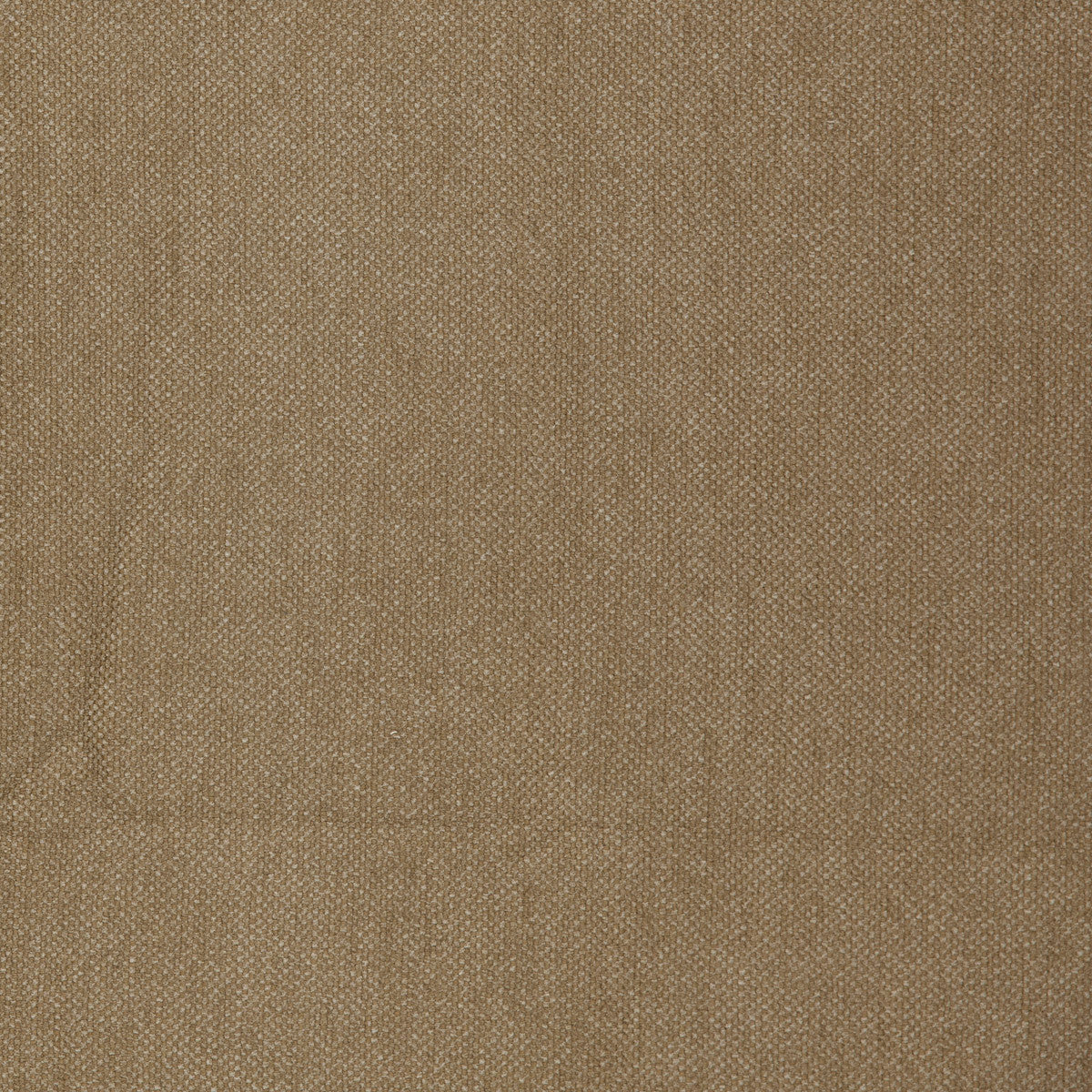 Clio Oak