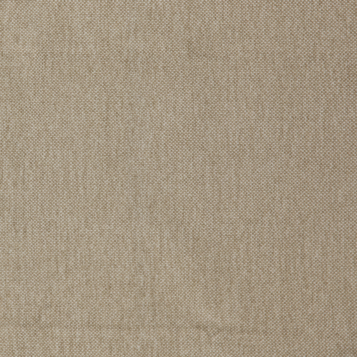 Clio Oatmeal