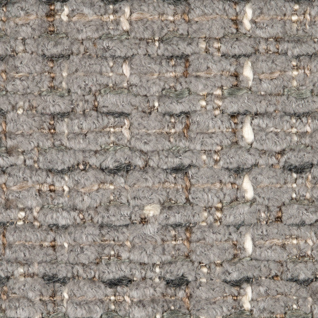 Aster Grey