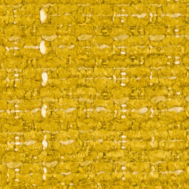 Aster Lemon