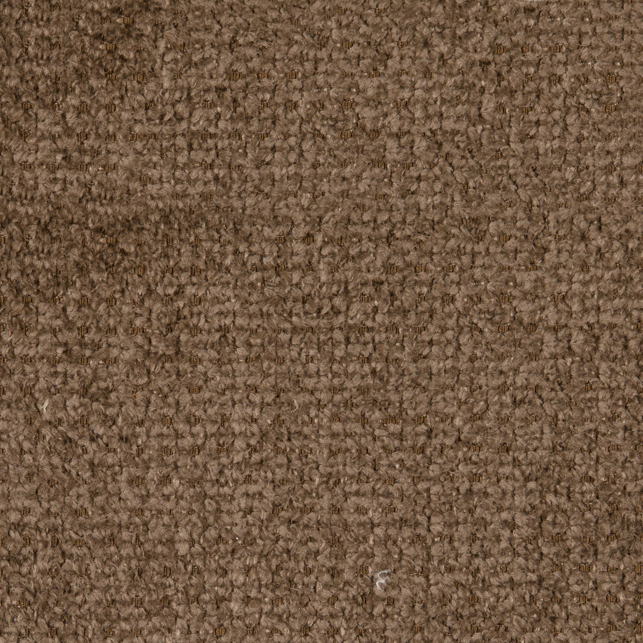 Babble Brown
