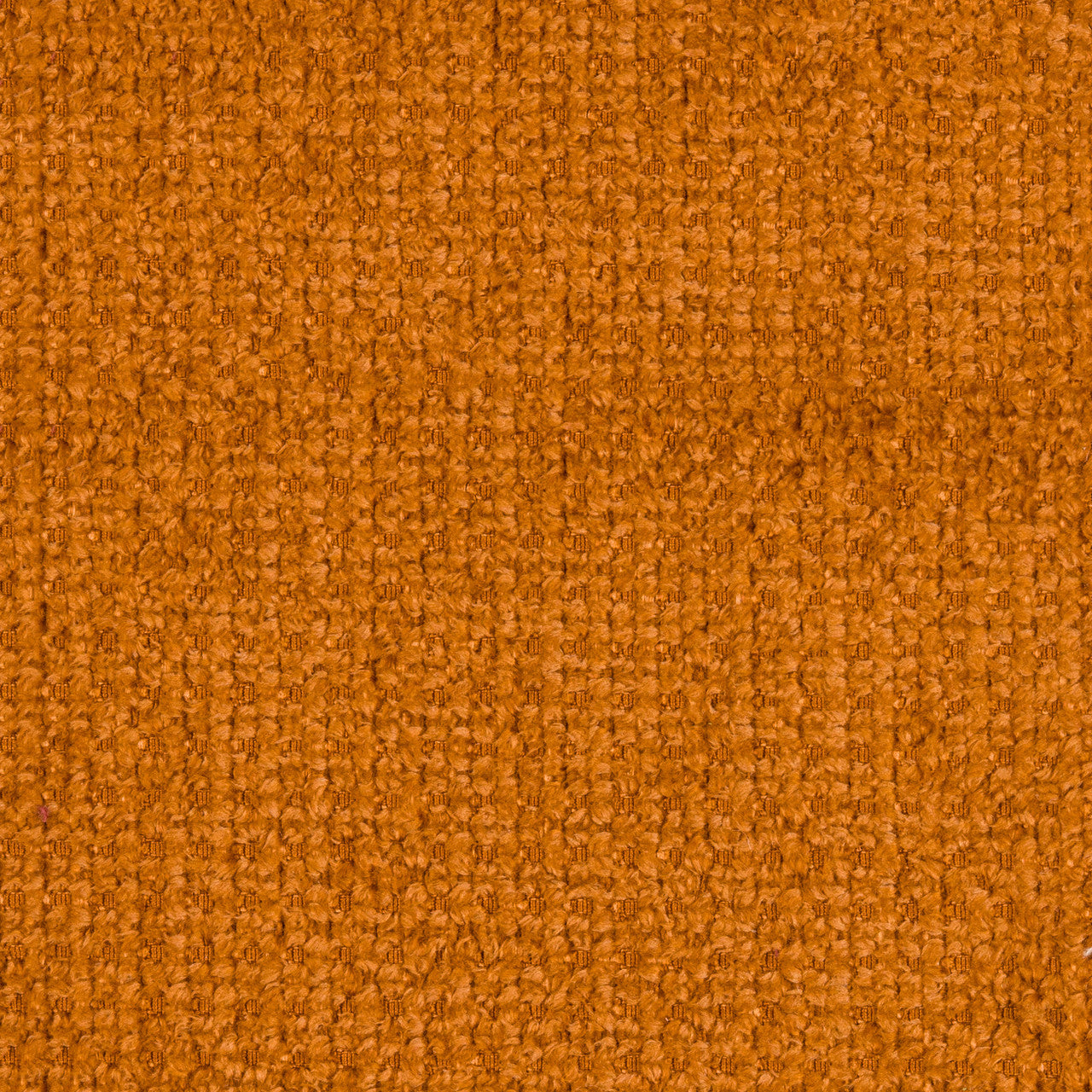 Babble Tangerine