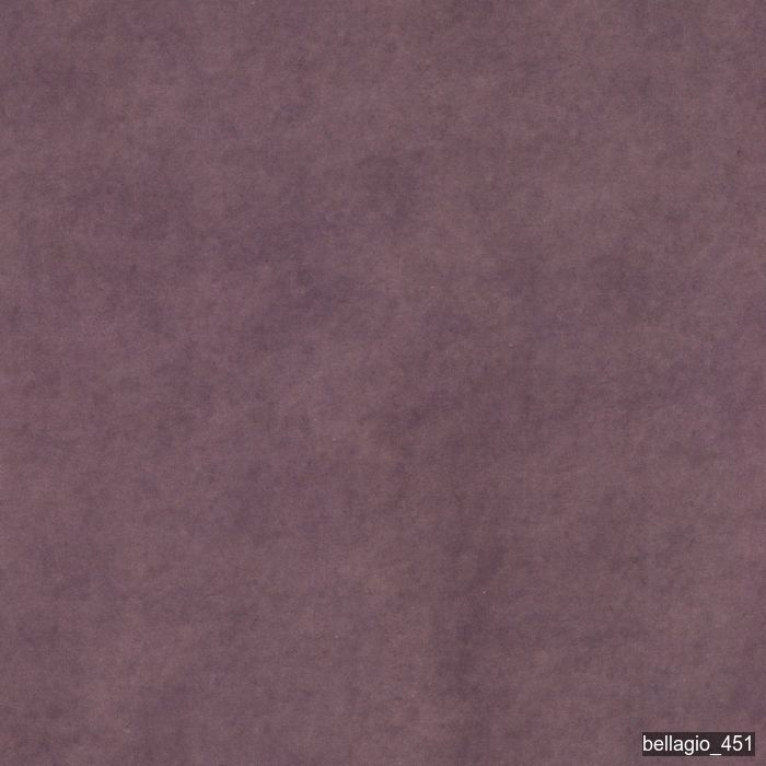 Bellagio 451 - Falcon