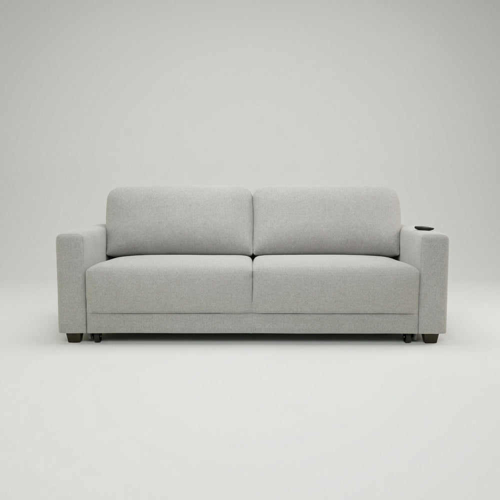 Belton Sleeper Sofa