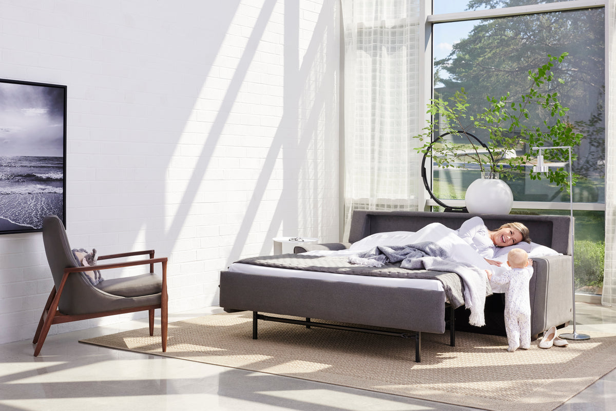 American Leather Sleeper Sofa