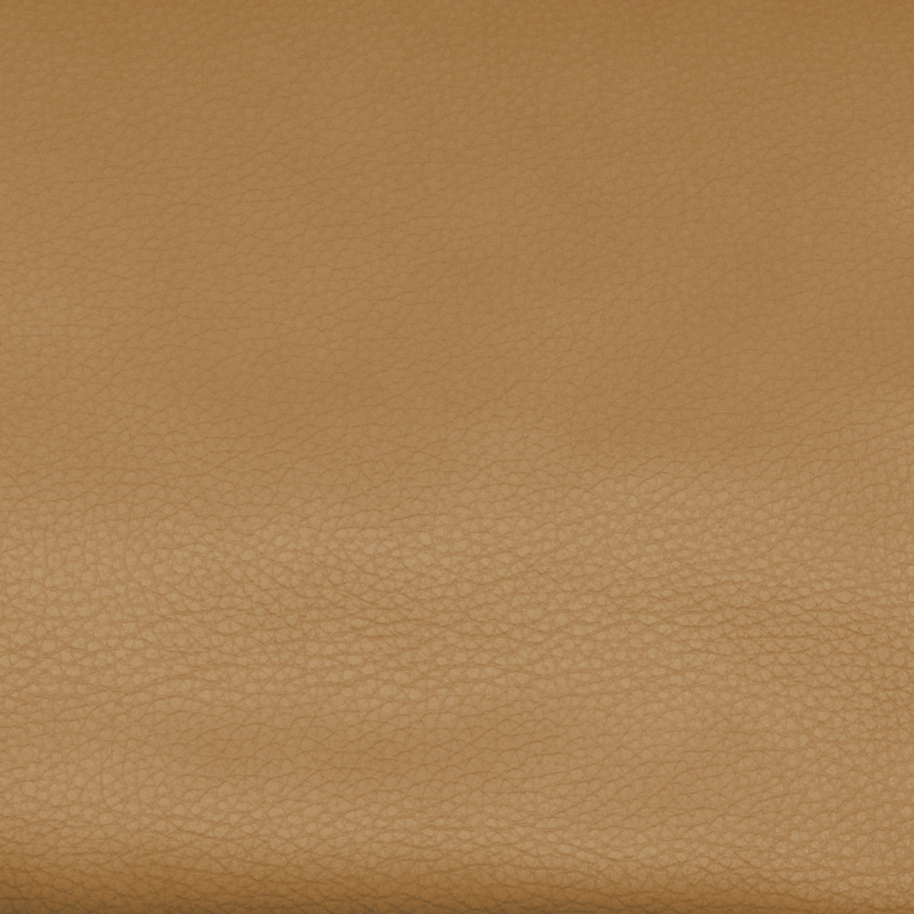 Capri Butterscotch