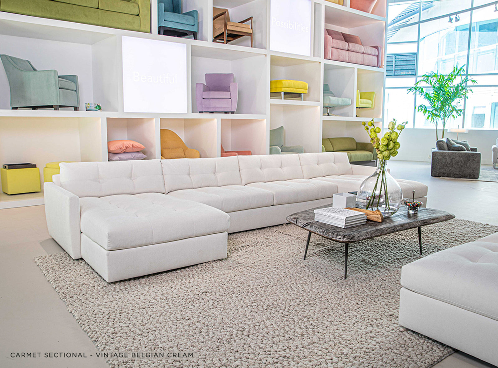carmet-sectional