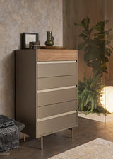 ALF Italia CityLife tall chest in walnut and matt bronze