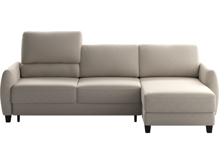 Delta Sofa Sleeper Full XL