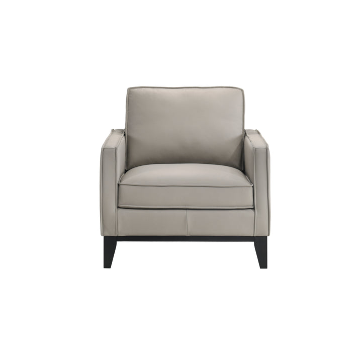 Aaron Leather Chair-Mist Gray