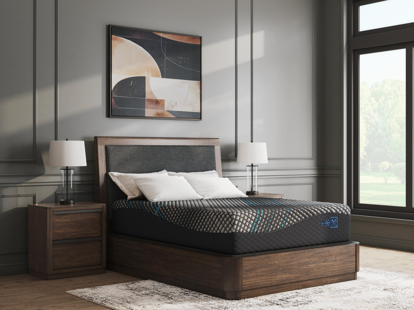 Millennium 2.0 Foam 14 Inch Queen Mattress - Black (2)