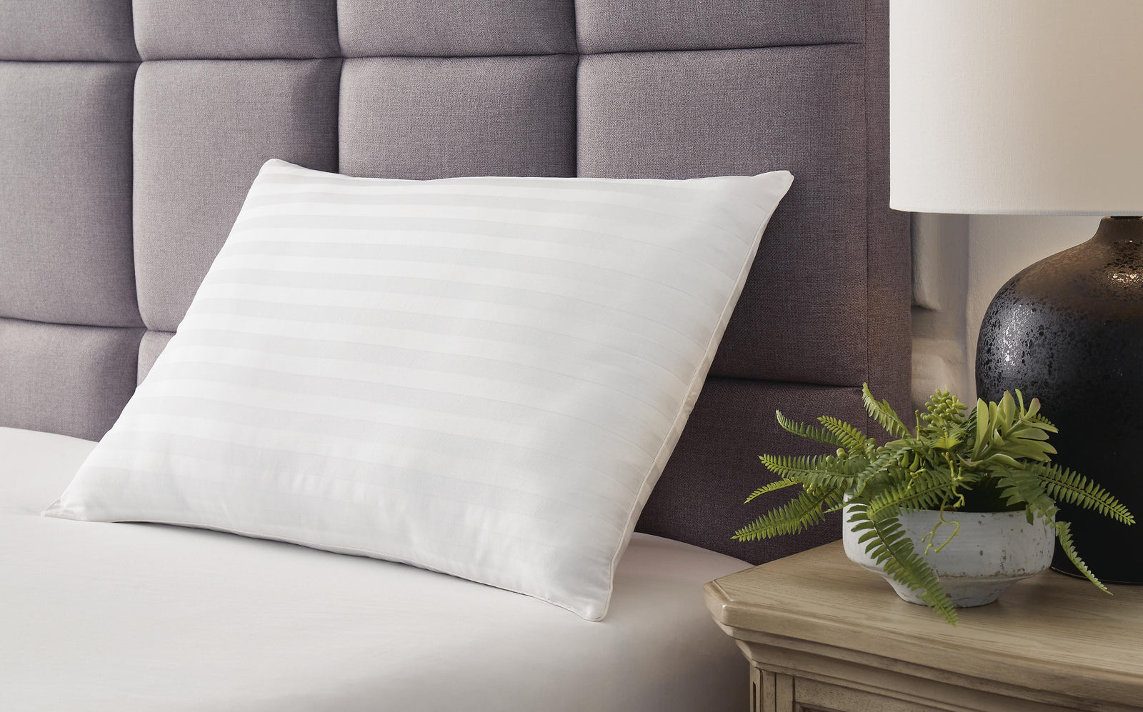 Zephyr 2.0 Cotton Pillow (Set of 2) - White (2)