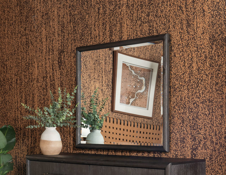 Dorsey Solid Wood and Glass Mirror in Basalt Grey