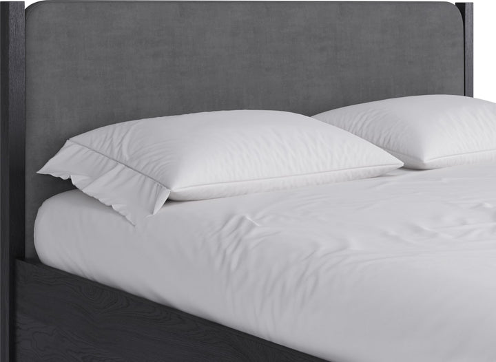 Elora Queen-size Wood and Velvet Upholstered Bed in Jet and Charcoal – view 3