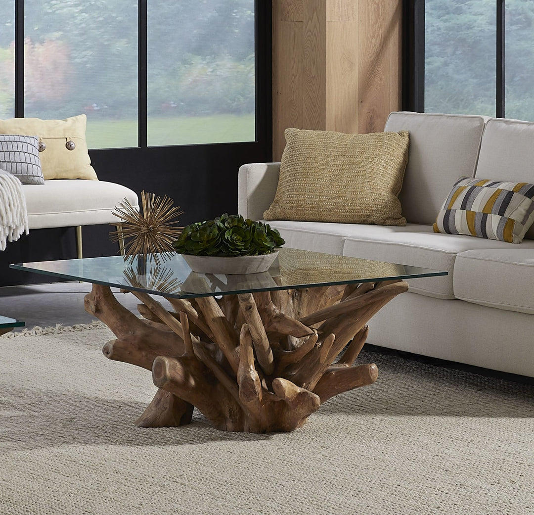 One Solid Teak Root Glass Top Coffee Table