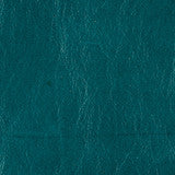 Mont Blanc Mountain Spring