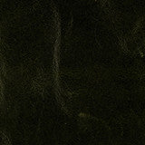 Mont Blanc Winter Pine