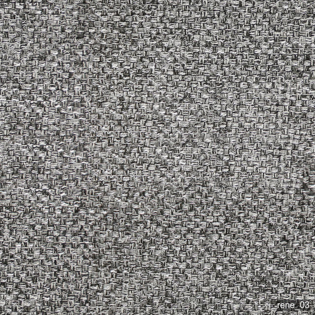 rene-1