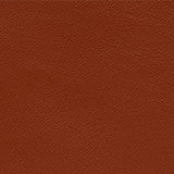Elmosoft Autumn Leaf