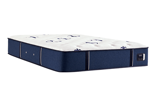 Stearns & Foster® Studio Medium Euro Pillow Top Mattress