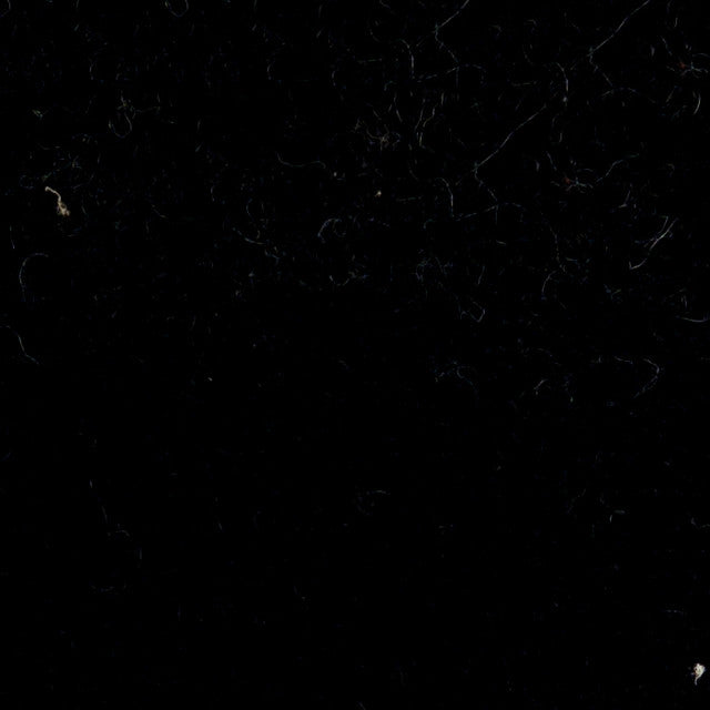 Suri Eclipse