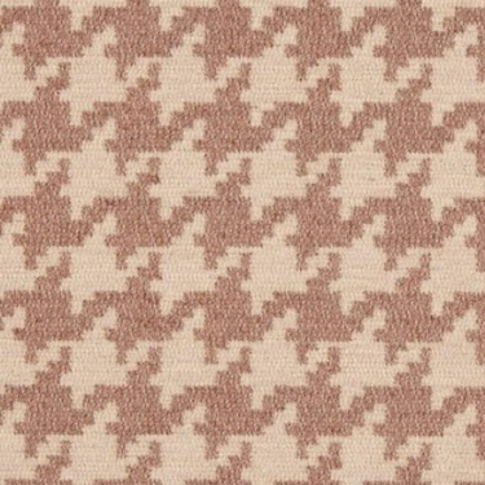 Amara Desert Rose