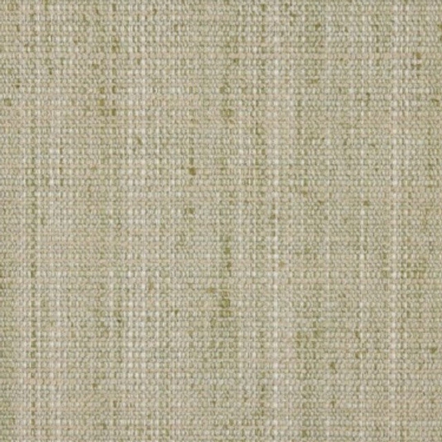 Iris Celadon