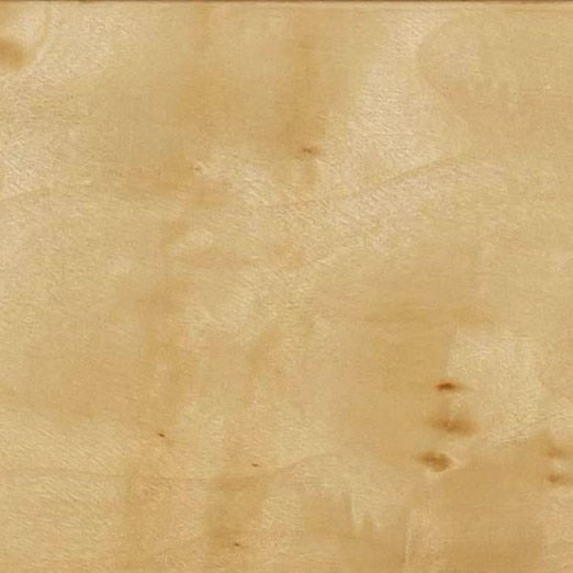 Brandyss 26" Natural Burl 2-Drawer Nightstand