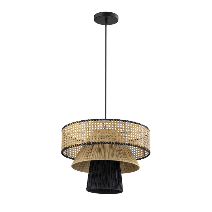 Rylie Natural &amp; Black Raffia Pendant Lamp, view 3