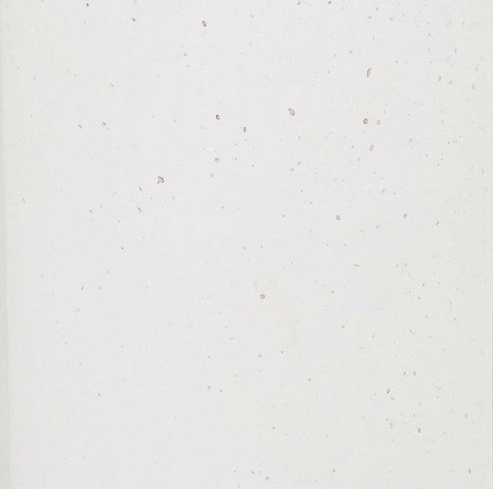 tov-furniture-tov-oc44175-tildy-concrete-coffee-table