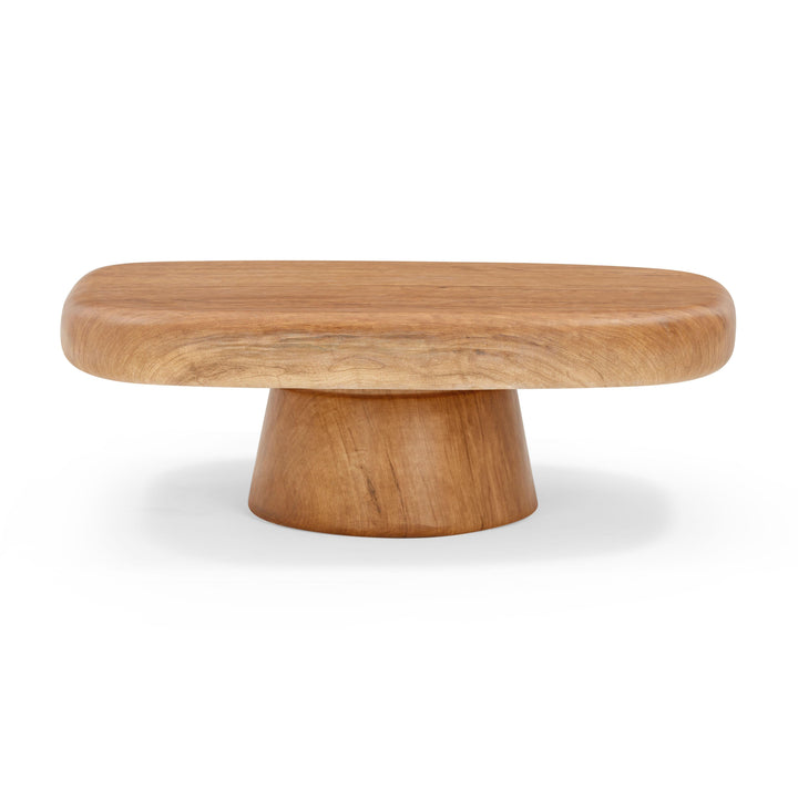 Darial 46" Natural Wood Grain Indoor/Outdoor Coffee Table