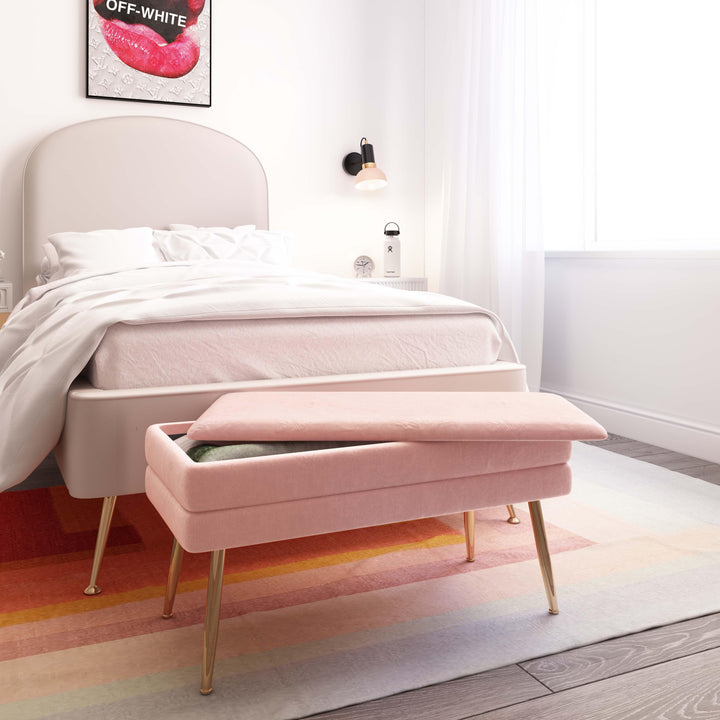 Ziva 31" Blush Velvet Storage Bench