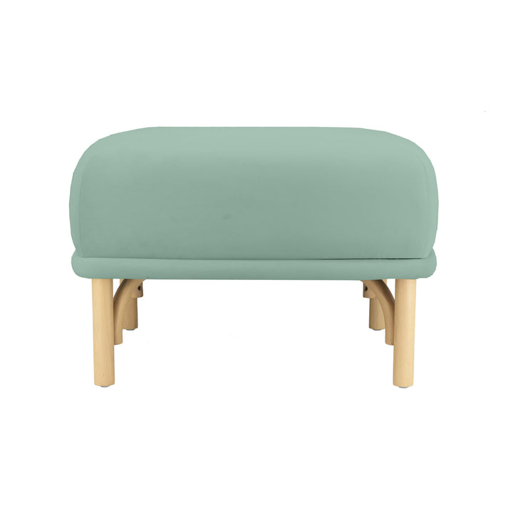 Desiree Performance Velvet Ottoman