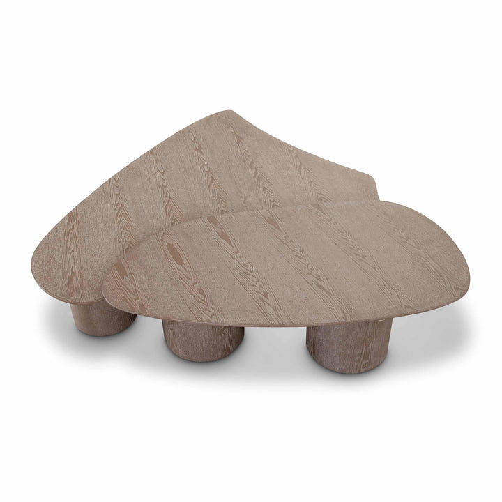 Rhema 2-Piece Washed Ash Nesting Coffee Table Set