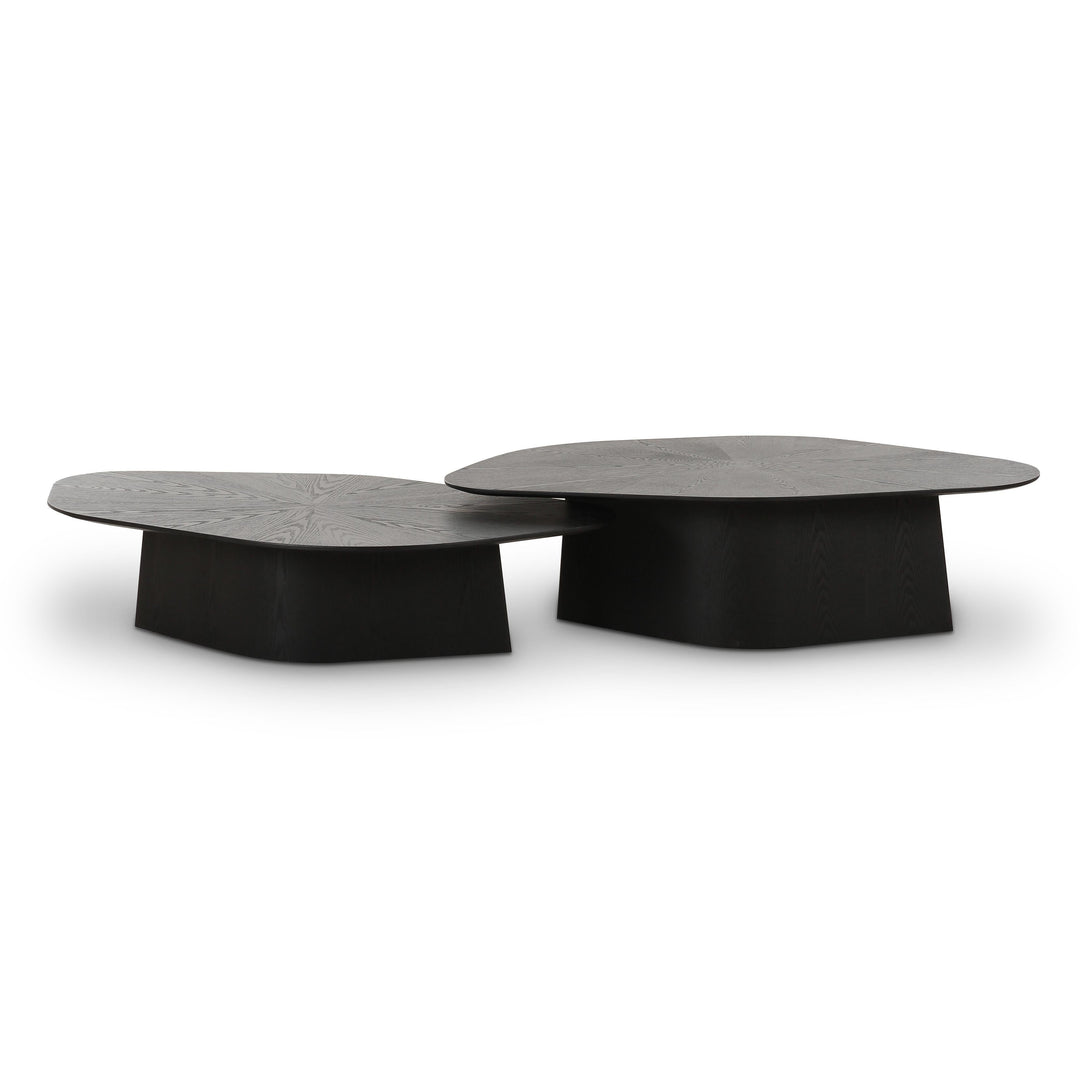 Roche 2-Piece Black Ash Nesting Coffee Table Set
