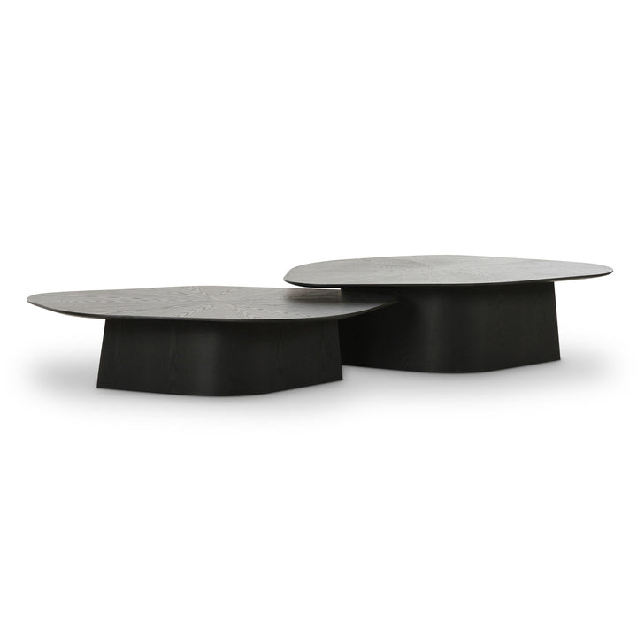 Roche 2-Piece Black Ash Nesting Coffee Table Set