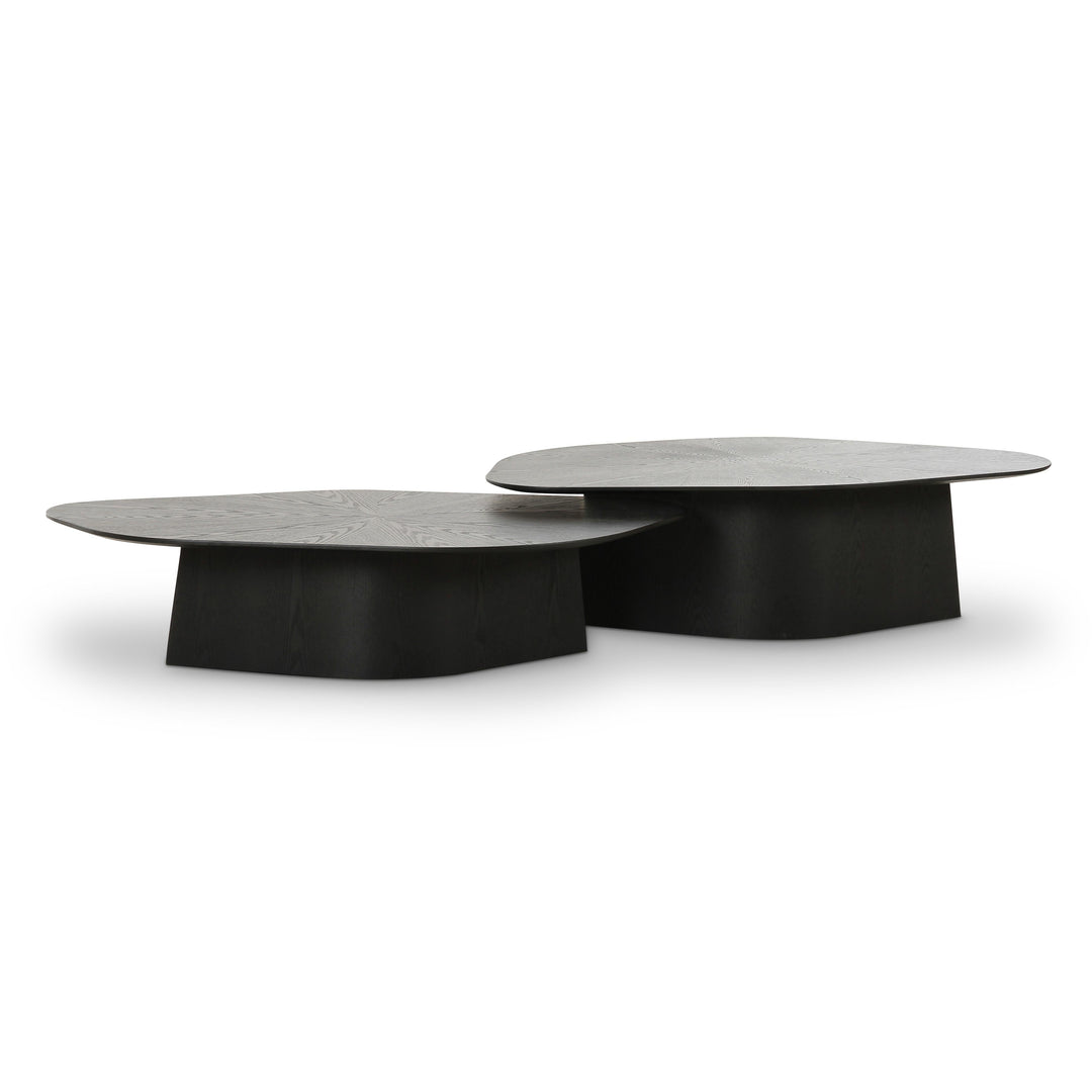 Roche 2-Piece Black Ash Nesting Coffee Table Set