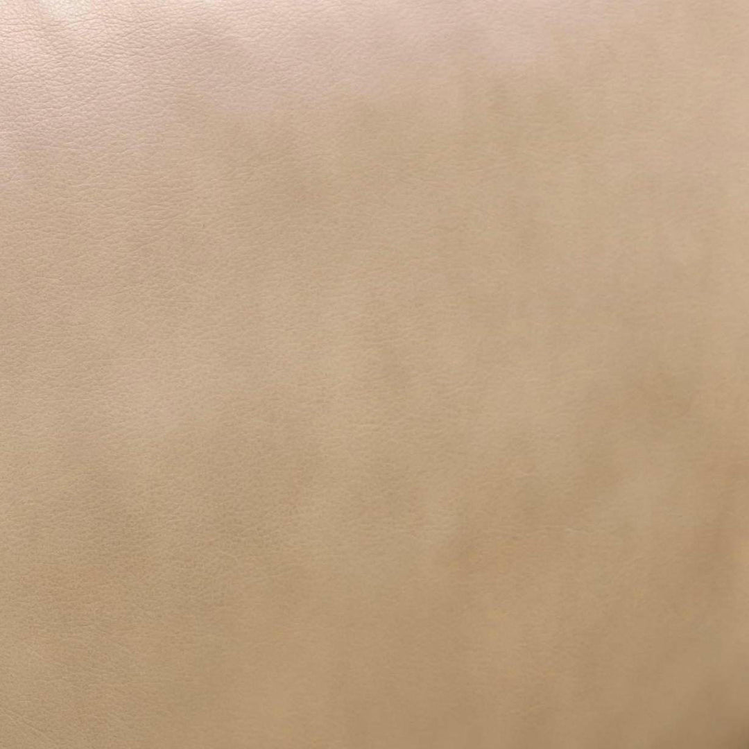 tov-furniture-tov-s54256-chakka-tan-genuine-leather-accent-chair