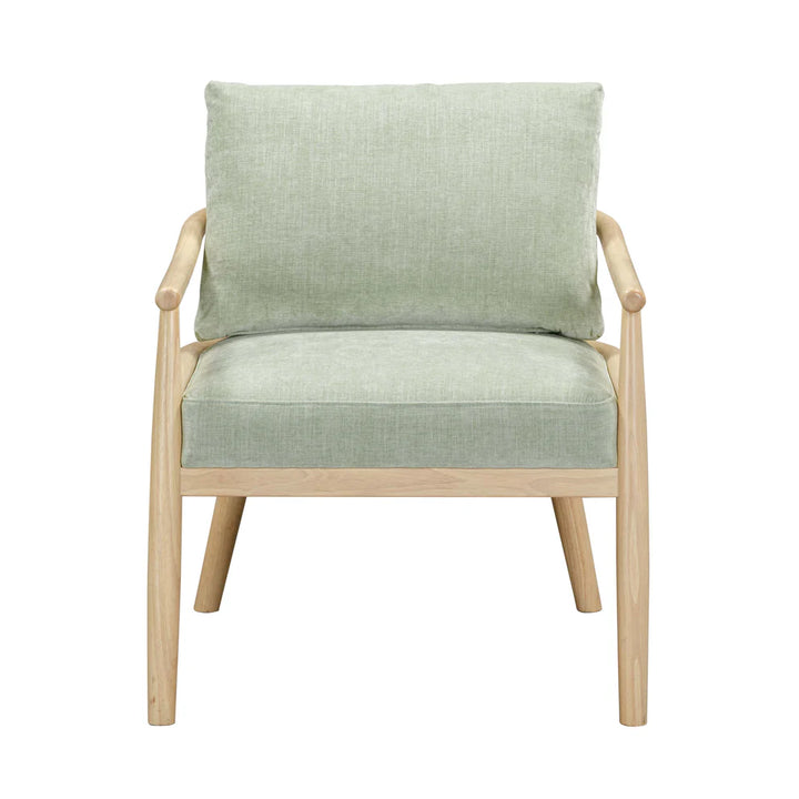 tov-furniture-tov-s54427-dixie-mint-green-chenille-velvet-accent-chair