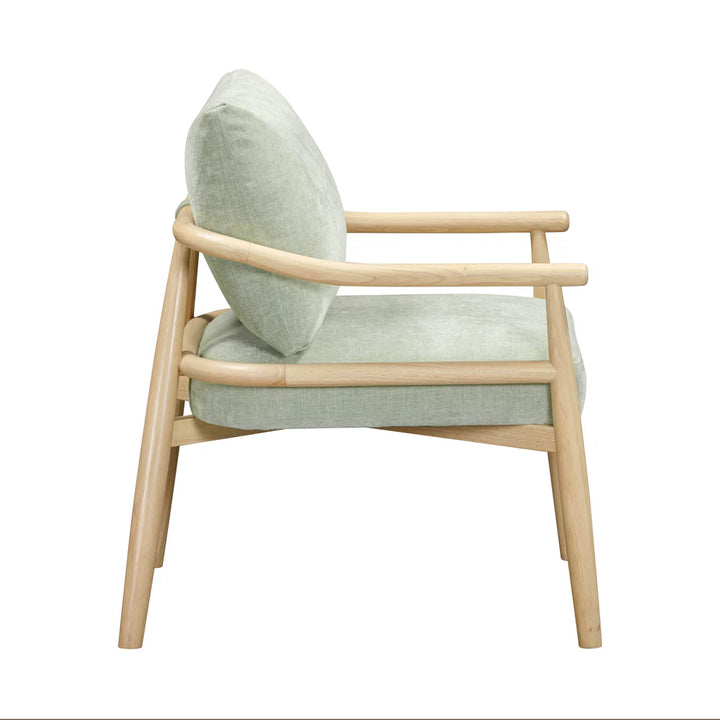 tov-furniture-tov-s54427-dixie-mint-green-chenille-velvet-accent-chair