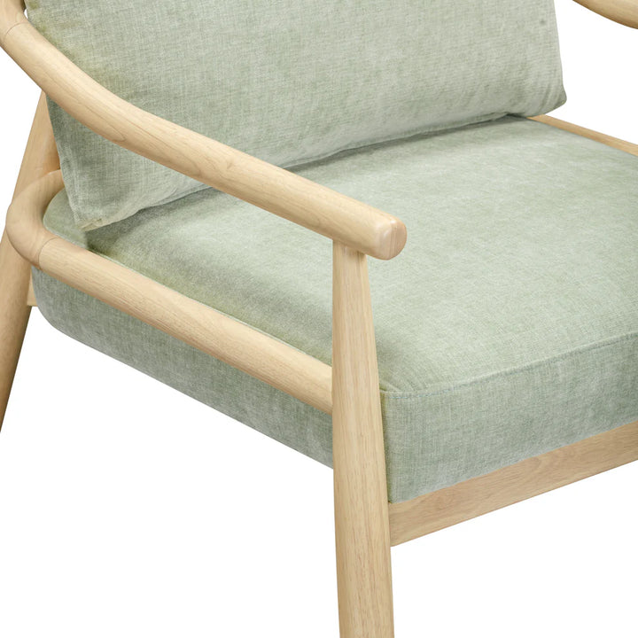 tov-furniture-tov-s54427-dixie-mint-green-chenille-velvet-accent-chair