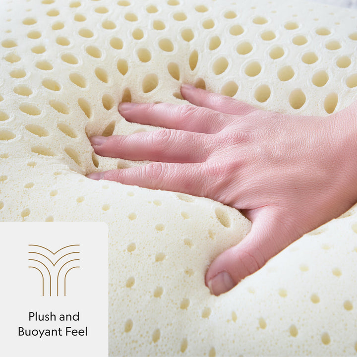 Zoned Talalay Latex Pillow