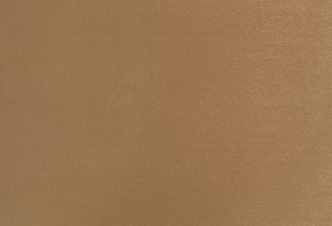 ACME Bernadette Arm Chair (Set of 2)