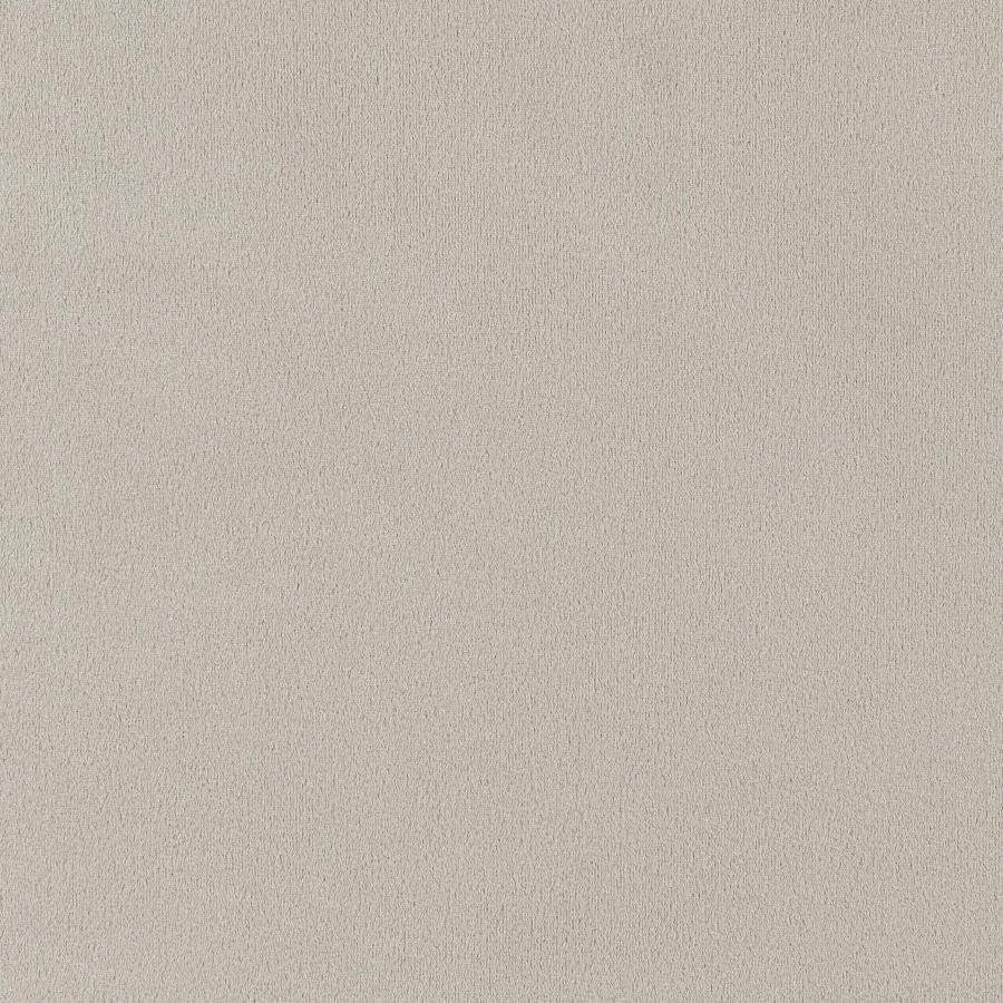 Alana - Velvet Upholstered Dining Arm Chair - Sand Arm Chair modern furniture Contempo Furniture