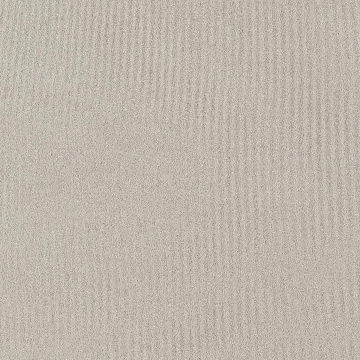 Alana - Velvet Upholstered Dining Arm Chair - Sand Arm Chair modern furniture Contempo Furniture