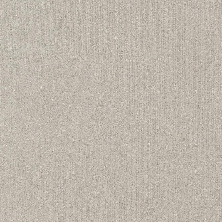 Alana - Velvet Upholstered Dining Side Chair (Set of 2) - Sand Chair Set modern furniture Contempo Furniture