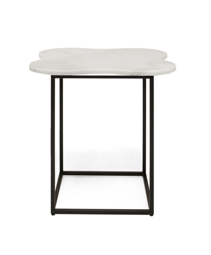 Aleidy  White Marble + Black Metal End Table