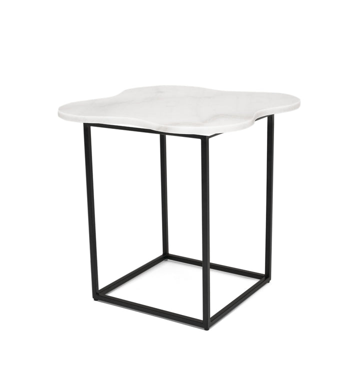 Aleidy  White Marble + Black Metal End Table