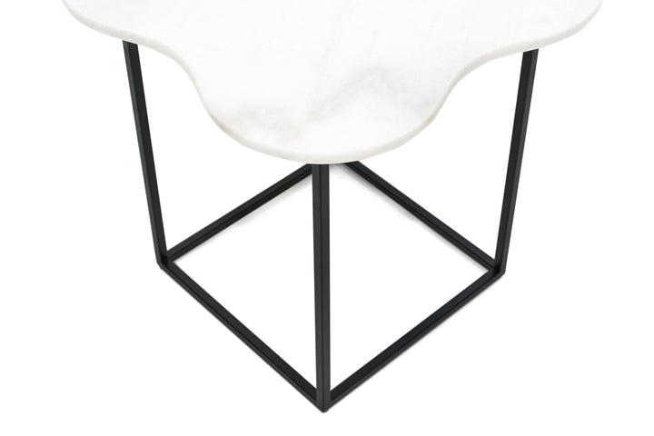 Aleidy  White Marble + Black Metal End Table