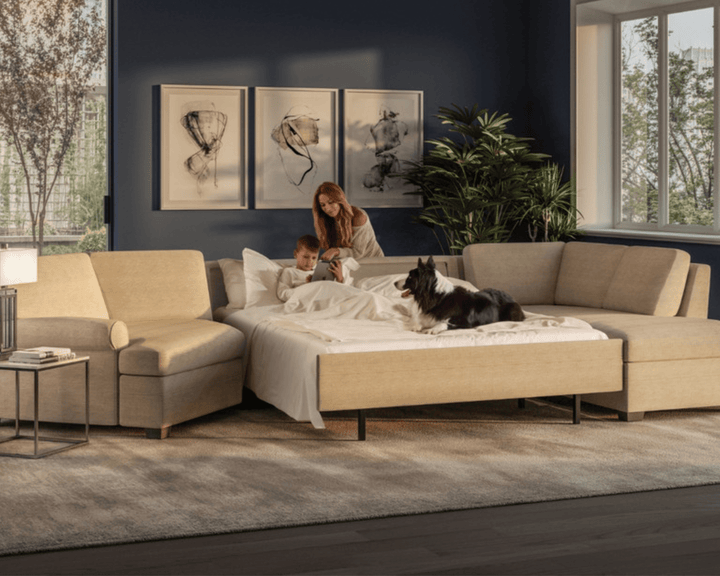 american-leather-gaines-twin-comfort-sleeper